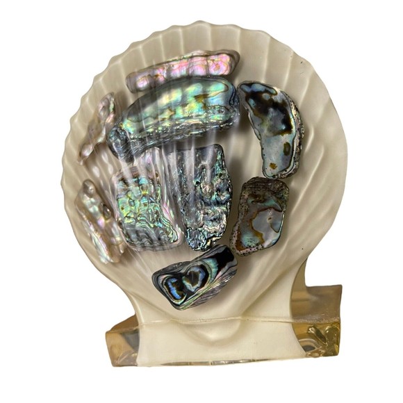 VTG RESIN ABALONE SEA SHELL NAPKIN HOLDER OR LETTER HOLDER WONDERMOLD IND., INC - Picture 12 of 12